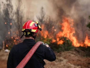 Φωτιά σε αγροτοδασική έκταση στην Ηλεία